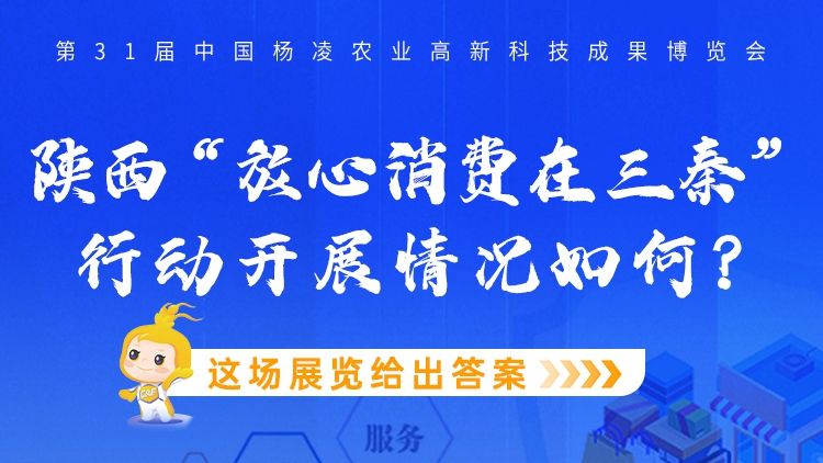 图梳馆丨陕西 “放心消费在三秦”行动开展情况如何？这场展览给出答案